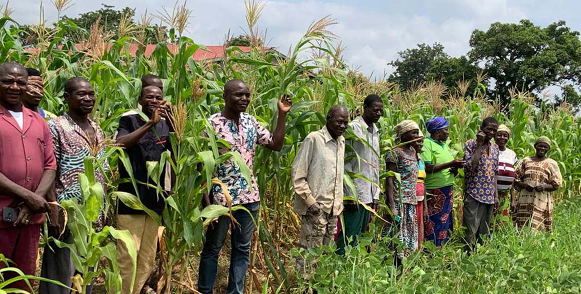 Rural Agriculture